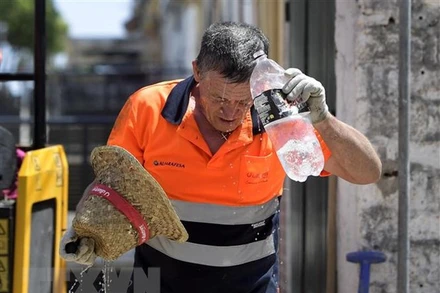 Công nhân làm mát dưới trời nắng nóng ở Sevilla, Tây Ban Nha. (Ảnh: AFP/TTXVN)