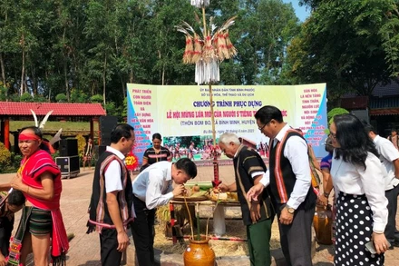 Không gian lễ Mừng lúa mới ở sóc Bom Bo.