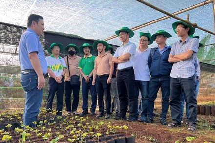 Các kỹ sư Nhà máy NPK Phú Mỹ tham gia thực địa, tìm tòi nhằm nâng cao, cải tiến cho sản phẩm NPK Phú Mỹ.