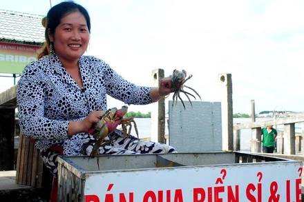 Thương lái bán cua ở thị trấn Năm Căn (huyện Năm Căn) cho hay giá cua trong ngày 11/1 tăng gấp đôi với 7-10 ngày trước. 