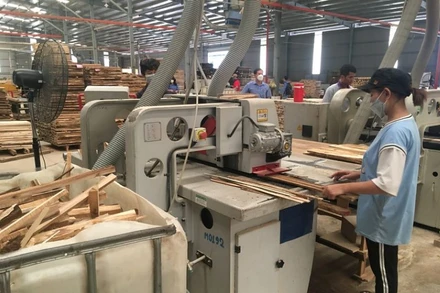 Sử dụng máy móc hiện đại để chế biến gỗ tại Công ty TAVICO (Đồng Nai).