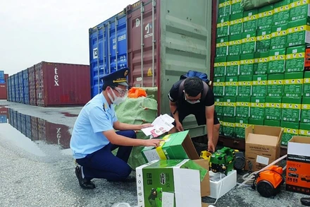 Hải quan Hải phòng kiểm tra thực tế hàng hoá (Ảnh: Nguyễn Lê)