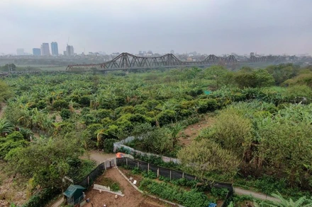 Bãi giữa sông Hồng sẽ trở thành công viên văn hóa đa chức năng trong tương lai.