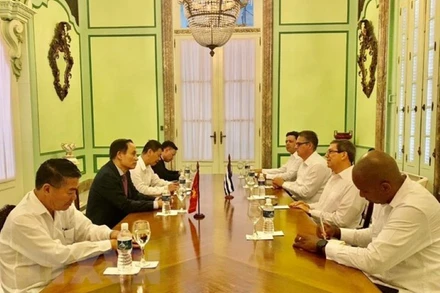 Đoàn đại biểu Ban Đối ngoại Trung ương hội kiến Ủy viên Bộ Chính trị, Bộ trưởng Ngoại giao Cuba Bruno Rodríguez Parrilla. (Ảnh: Mai Phương/TTXVN)