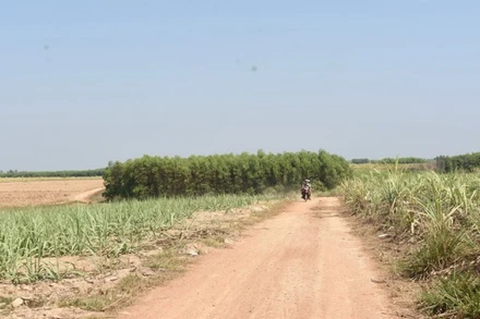 Khu vực đất được giao cho Công ty cổ phần mía đường La Ngà sử dụng tại huyện Định Quán.