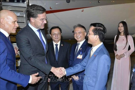 Bộ trưởng Bộ Khoa học và Công nghệ Huỳnh Thành Đạt, Thứ trưởng Bộ Ngoại giao Hà Kim Ngọc, Đại sứ Việt Nam tại Hà Lan Ngô Hướng Nam đón Thủ tướng Hà Lan Mark Rutte tại sân bay Quốc tế Nội Bài. (Ảnh: Minh Đức/TTXVN)