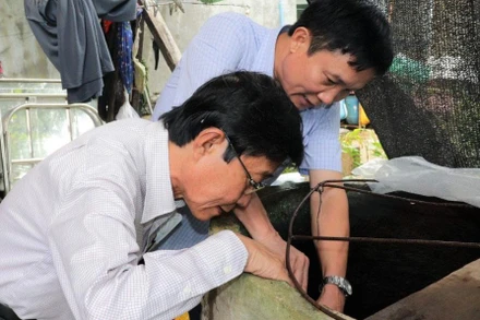 Cán bộ Trung tâm Kiểm soát bệnh tật Đồng Nai giám sát, xử lý ổ dịch sốt xuất huyết tại huyện Tân Phú.