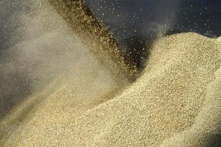 Chất ngũ cốc lên tàu để đưa đi xuất khẩu tại cảng Rostov-on-Don, Nga ngày 11/6/2022. (Ảnh: AFP/TTXVN)