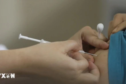 Ảnh minh họa. (Nguồn: TTXVN)