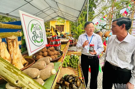 Giới thiệu các sản vật truyền thống, đặc trưng vùng núi Ba Tơ.