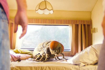 Cảnh trong phim "Bí kíp luyện ruồi". (Ảnh: The Film Magazine)