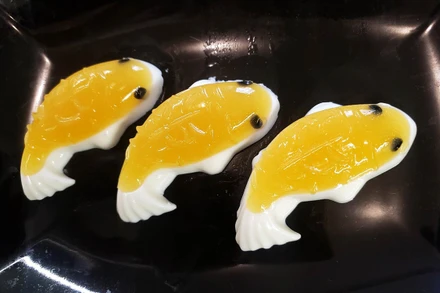 Đàn cá chép bằng thạch của gia đình chị Đ.K.G.