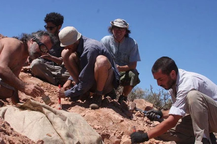 Các nhà khoa học tại hiện trường khai quật. (Ảnh: Reuters)