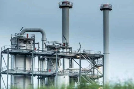 Cảnh trong phim "Vàng xanh". (Ảnh: Phái đoàn cung cấp)