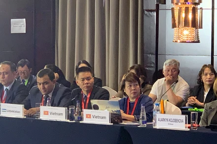 Đoàn Việt Nam báo cáo tại Kỳ họp của UNESCO. (Ảnh: Cục Di sản văn hóa cung cấp)