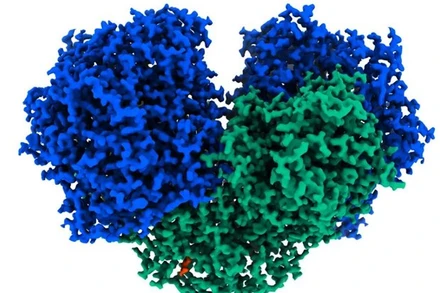 Australia phát hiện enzyme có thể biến không khí thành điện
