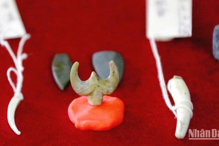 Khuyên tai ngọc, hiện vật khai quật tại Vườn Chuối. (Ảnh: VƯƠNG ANH)