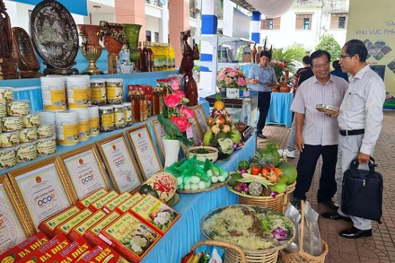 Các đại biểu tham quan các gian hàng trưng bày tại Hội nghị “Giải pháp phát triển du lịch 4 địa phương khu vực phía bắc tỉnh: Hoài Nhơn, Hoài Ân, Phù Mỹ, An Lão”.