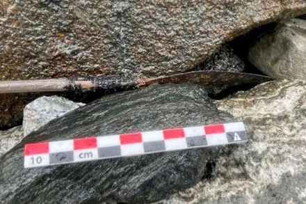 Mũi tên được phát hiện ở khe những tảng đá sau khi lớp băng trên bề mặt tan. (Ảnh: Ancient Origins)