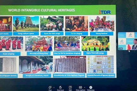 Hội thảo được tổ chức theo hình thức trực tiếp và trực tuyến. (Ảnh chụp màn hình)