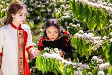 Lễ hội Cà-phê Buôn Ma Thuột góp phần nâng tầm giá trị cà-phê Việt. (Ảnh: Ban tổ chức)