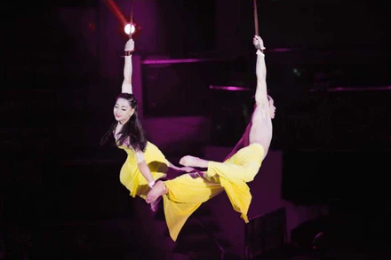 Chương trình mang đến sự kết hợp thú vị giữa xiếc và rock. (Ảnh: Liên đoàn Xiếc Việt Nam)