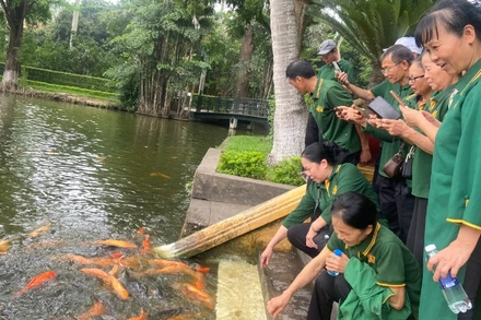 Du khách tham quan ao cá Bác Hồ. 
