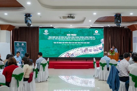 Quang cảnh hội thảo.