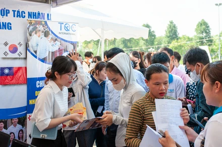 Hàng trăm người lao động, quân nhân xuất ngũ tham gia Ngày hội việc làm.