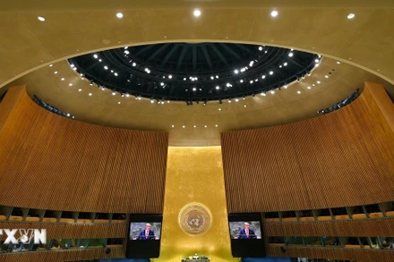 Một phiên họp tại Liên hợp quốc. (Ảnh: THX/TTXVN)