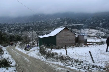 Bắc Bộ, Bắc Trung Bộ bắt đầu đợt rét đậm, rét hại diện rộng 