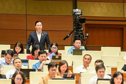 Đại biểu Trần Văn Khải (đoàn Hà Nam), Phó Chủ nhiệm Ủy ban Khoa học, Công nghệ và Môi trường phát biểu tại hội trường. (Ảnh: BÙI GIANG)