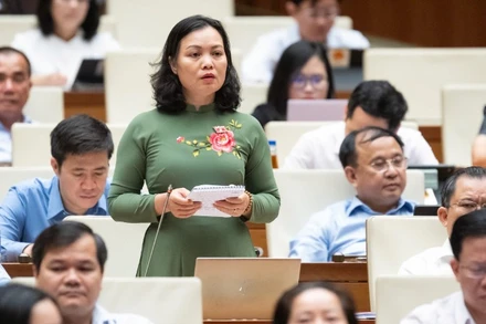 Đại biểu Huỳnh Thị Phúc (Đoàn Bà Rịa-Vũng Tàu) phát biểu tại hội trường. (Ảnh: BÙI GIANG)