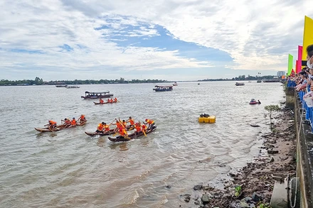 Đua ghe tam bản trên sông Cổ Chiên