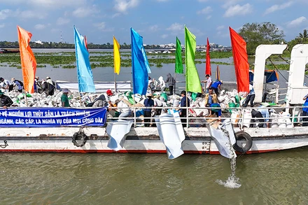 Ngành chức năng thả cá ra môi trường tự nhiên