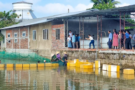 Đoàn giám sát của Tỉnh uỷ Vĩnh Long tham quan mô hình sản xuất cá linh tại xã Mỹ Phước, huyện Mang Thít, tỉnh Vĩnh Long. 