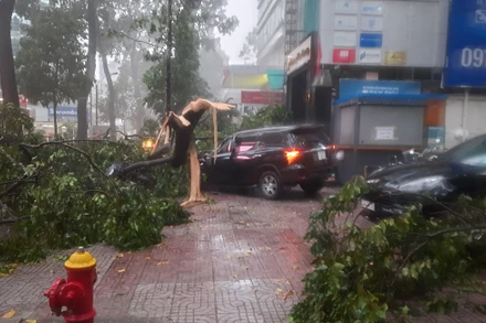 Mưa lớn kèm giông, làm cây xanh ngã đổ, hư hỏng ô-tô trên tuyến đường Phạm Ngọc Thạch, quận 3.
