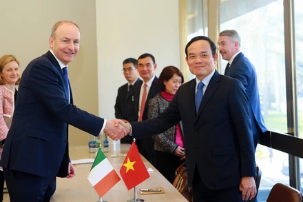 Phó Thủ tướng Trần Lưu Quang và Phó Thủ tướng, Bộ trưởng Ngoại giao và Quốc phòng Cộng hòa Ireland Michéal Martin. (Ảnh: baochinhphu.vn)