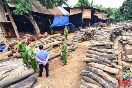 Bãi tập kết trái phép hơn 60m3 gỗ quý ngay giữa trung tâm thành phố Buôn Ma Thuột vừa bị Công an thành phố phát hiện.