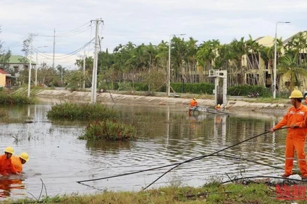 Công nhân Điện lực Quảng Bình sửa chữa, khôi phục lưới điện tại thành phố Hội An, tỉnh Quảng Nam.