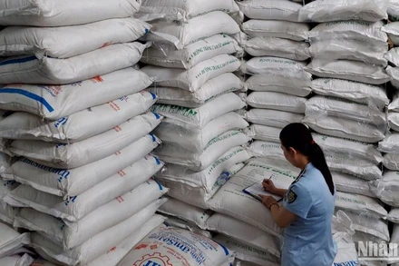 Lực lượng quản lý thị trường kiểm tra các lô đường cát tại hiện trường.