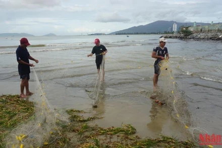 Người dân Đà Nẵng quây lưới bắt cá nước ngọt sau bão số 4.