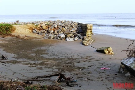 Sóng cả dần đánh sập đoạn kè cùng triều cường cuốn sạt đất của một hộ dân ven biển ở xã Hoằng Phụ.