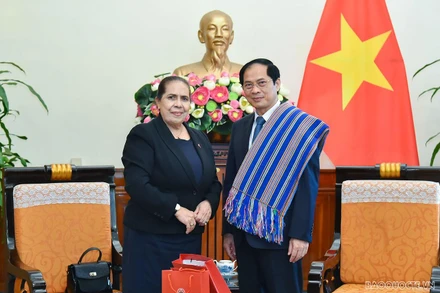 Bộ trưởng Ngoại giao Bùi Thanh Sơn tiếp Đại sứ Timor-Leste Maria Olandina Isabel Caeiro Alves chào xã giao, ngày 27/7 tại Hà Nội. (Ảnh: Baoquocte.vn) 