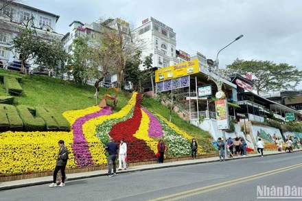 Đường hoa dốc Lê Đại Hành, trung tâm thành phố Đà Lạt.