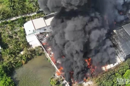 Hiện trường vụ cháy nhìn từ trên cao. (Ảnh: CTV).