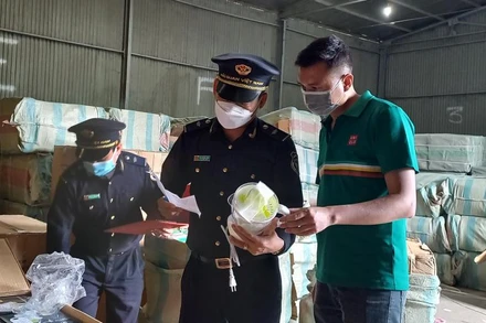 Hoạt động nghiệp vụ của công chức Hải quan. (Ảnh minh họa)