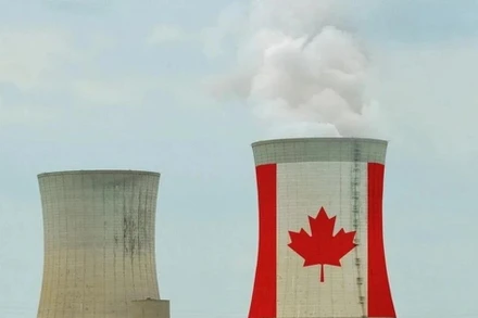 Ảnh minh họa. (Nguồn: carboncredits/TTXVN)