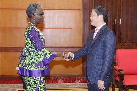 Trưởng Ban Kinh tế Trung ương Trần Tuấn Anh tiếp Phó Tổng Giám đốc Quỹ Tiền tệ quốc tế (IMF) Antoinette Monsio Sayeh. (Ảnh: TTXVN)