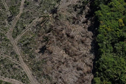 Một khoảnh rừng nhiệt đới Amazon ở Manaus bị chặt phá, bang Amazonas, Brazil ngày 8/7/2022. (Ảnh: REUTERS)